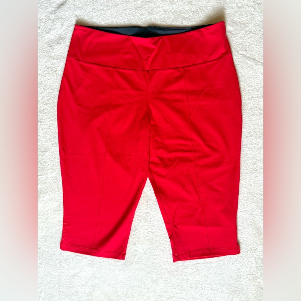Women With Control Regular 1X Lollipop Tummy Control Pedal Pusher Pull On Pants